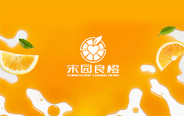 某良橙——十堰LOGO设计